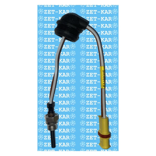 BUJİ 2KW 12V-24V