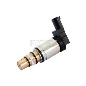 PC008-21 SANDEN - BMW