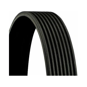 Kanallı Kayış 8PK2830